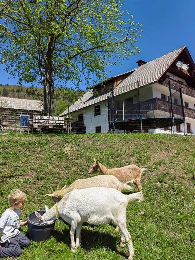 Turisticna Kmetija Pri Andreju Διαμέρισμα Bohinj Εξωτερικό φωτογραφία