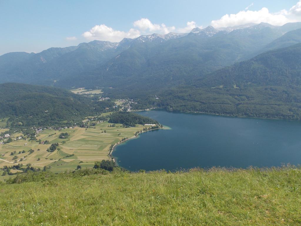 Turisticna Kmetija Pri Andreju Διαμέρισμα Bohinj Εξωτερικό φωτογραφία