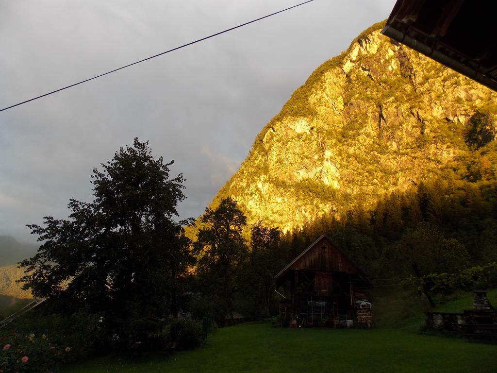 Turisticna Kmetija Pri Andreju Διαμέρισμα Bohinj Εξωτερικό φωτογραφία