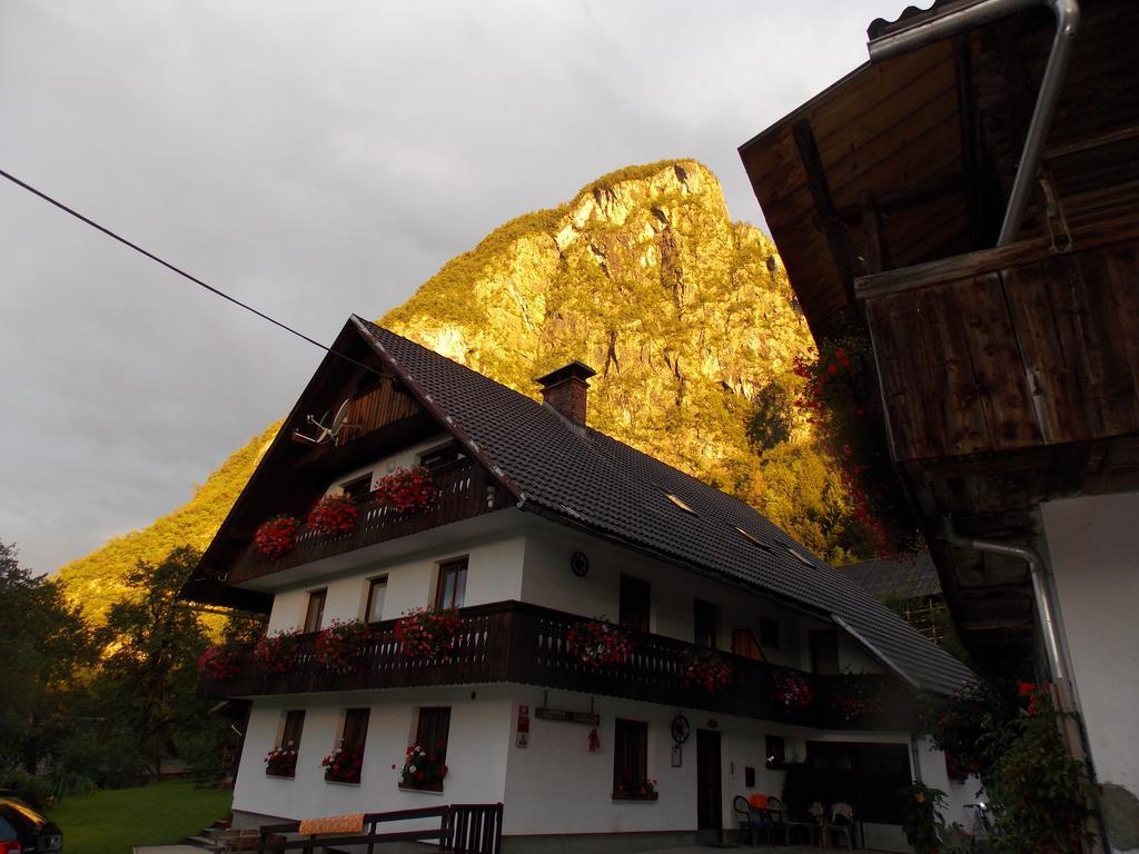 Turisticna Kmetija Pri Andreju Διαμέρισμα Bohinj Εξωτερικό φωτογραφία