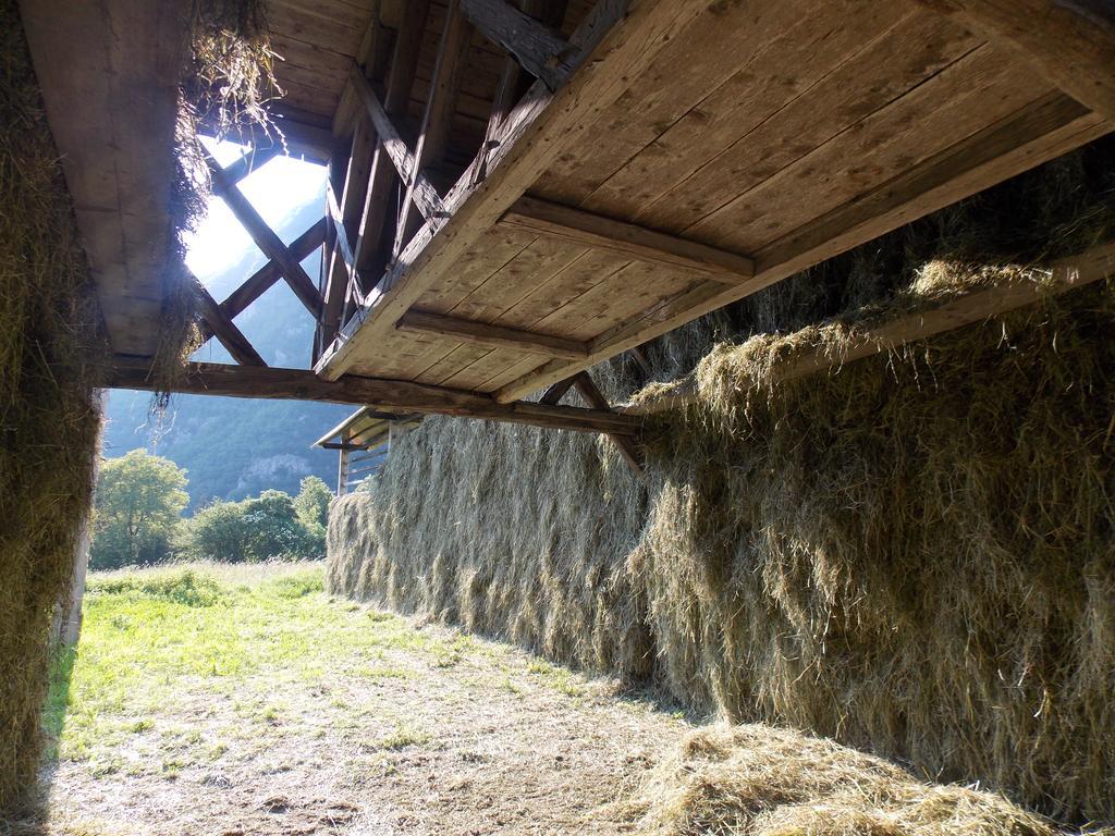 Turisticna Kmetija Pri Andreju Διαμέρισμα Bohinj Εξωτερικό φωτογραφία