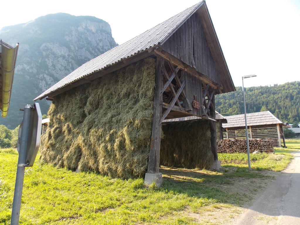 Turisticna Kmetija Pri Andreju Διαμέρισμα Bohinj Εξωτερικό φωτογραφία